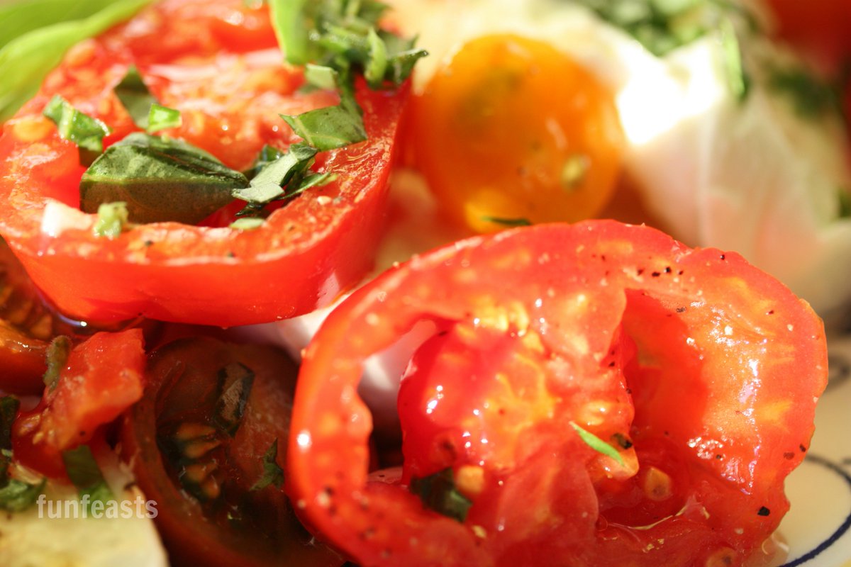 funfeasts's tweet image. A new logo for funfeasts - how fun!