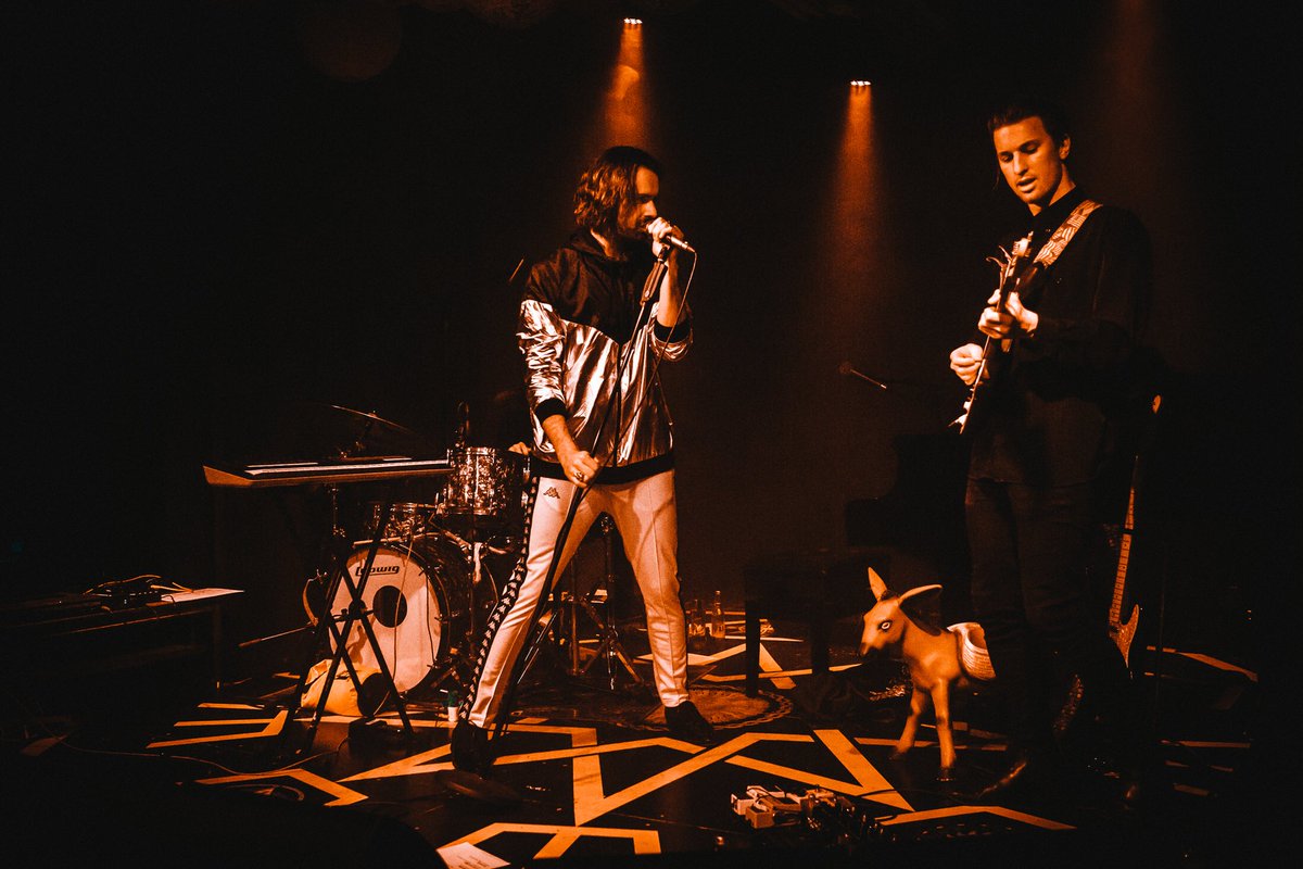 peter sonic tweet media