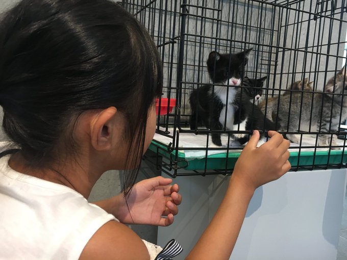 Twitterのコスプレ画像3