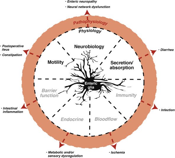 the dynamics of focus