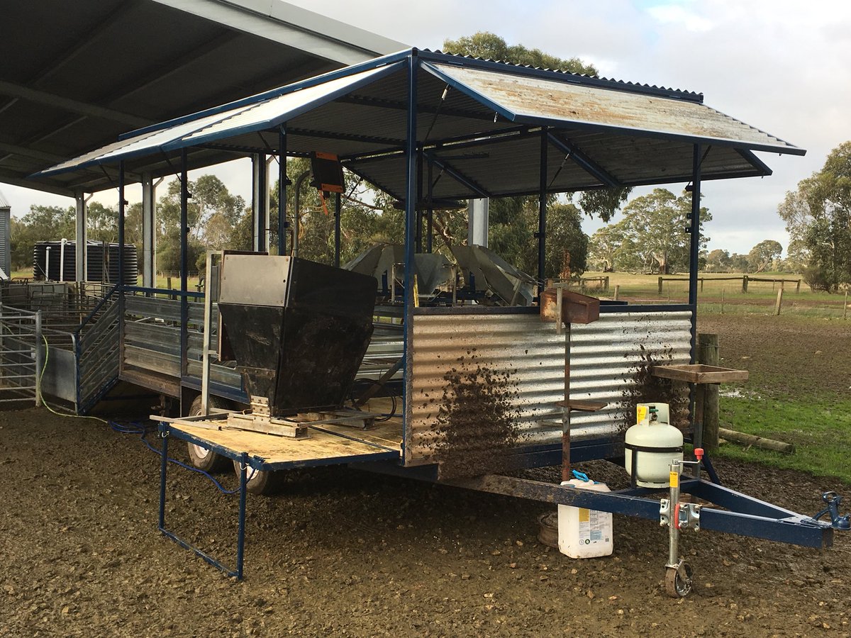 Rolled a new lamb marking trailer out of workshop today. Will give it a tryout later in week. No more muddy catching pens. #mongreldogengineering