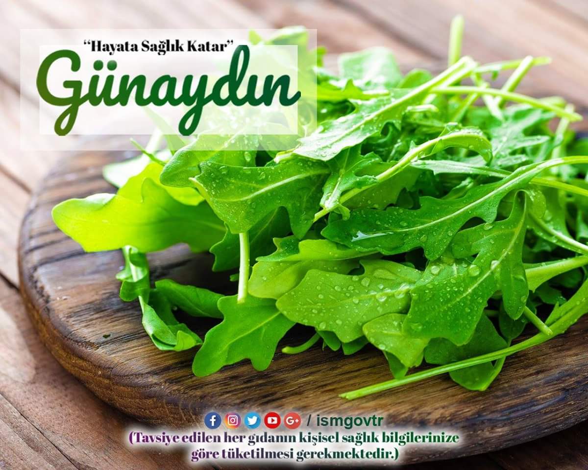Bir sosyal ağda bir sayfayı saldırıya uğradıysanız ne yapmalısınız Bir sosyal ağda bir sayfayı saldırıya uğradıysanız ne yapmalısınız