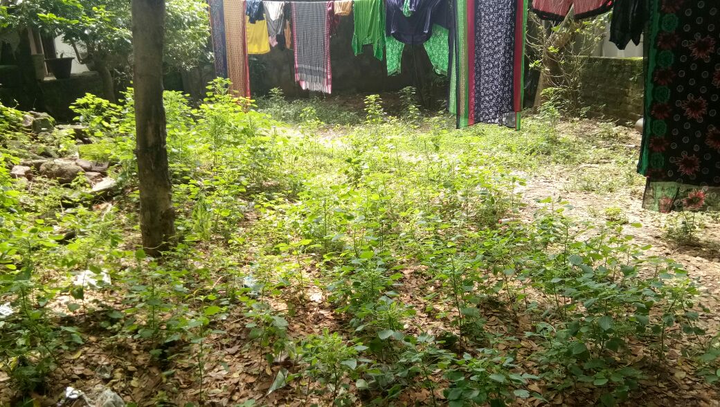 AmarendraBari10's tweet photo. Garbage decoration of CMC AT
Ward no 50
Netaji nagar
#GABAR_GROUP
@cmc
@hud
@hfw
@cmo
@swachhbharat 
@DrLekhaShree 
@Biswajitbhaictc 
@AmitabhMohanty9 
@otvnews https://t.co/CQmKqQPv3P