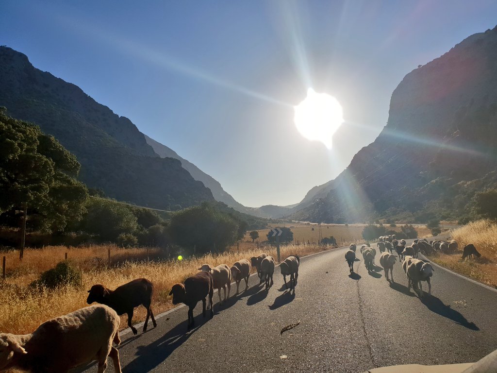 fedeflorido's tweet photo. Buenos días @canalfiesta comienza  el #FelizLunes en la #SierraDeCadiz #PNSierradeGrazalema #beee https://t.co/BlMvEz210Z