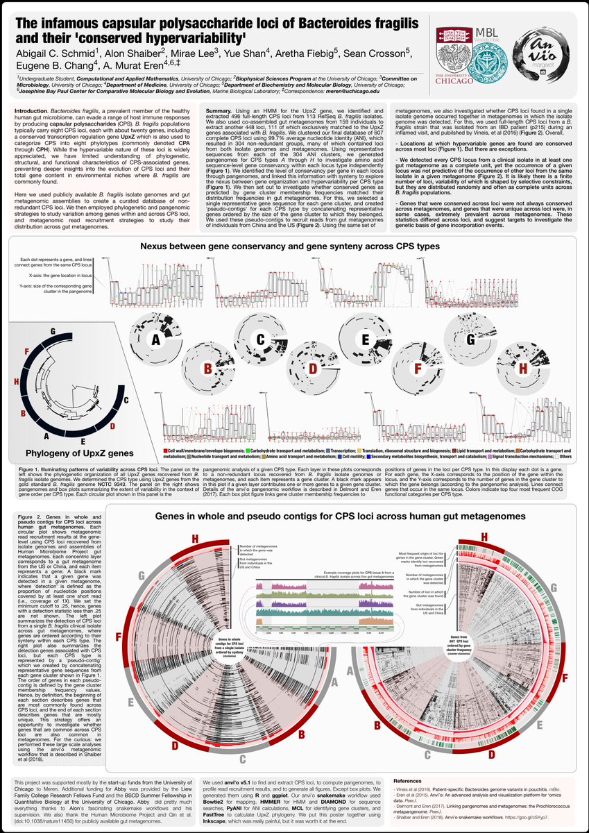 merenbey's tweet image. Visit poster 533A today at #ISME17 to hear from Abby Schmid about our attempt to characterize all capsular polysaccharide loci from all Bacteroides fragilis isolates in the context of many human guts using #pangenomics #metagenomics and #anvio.