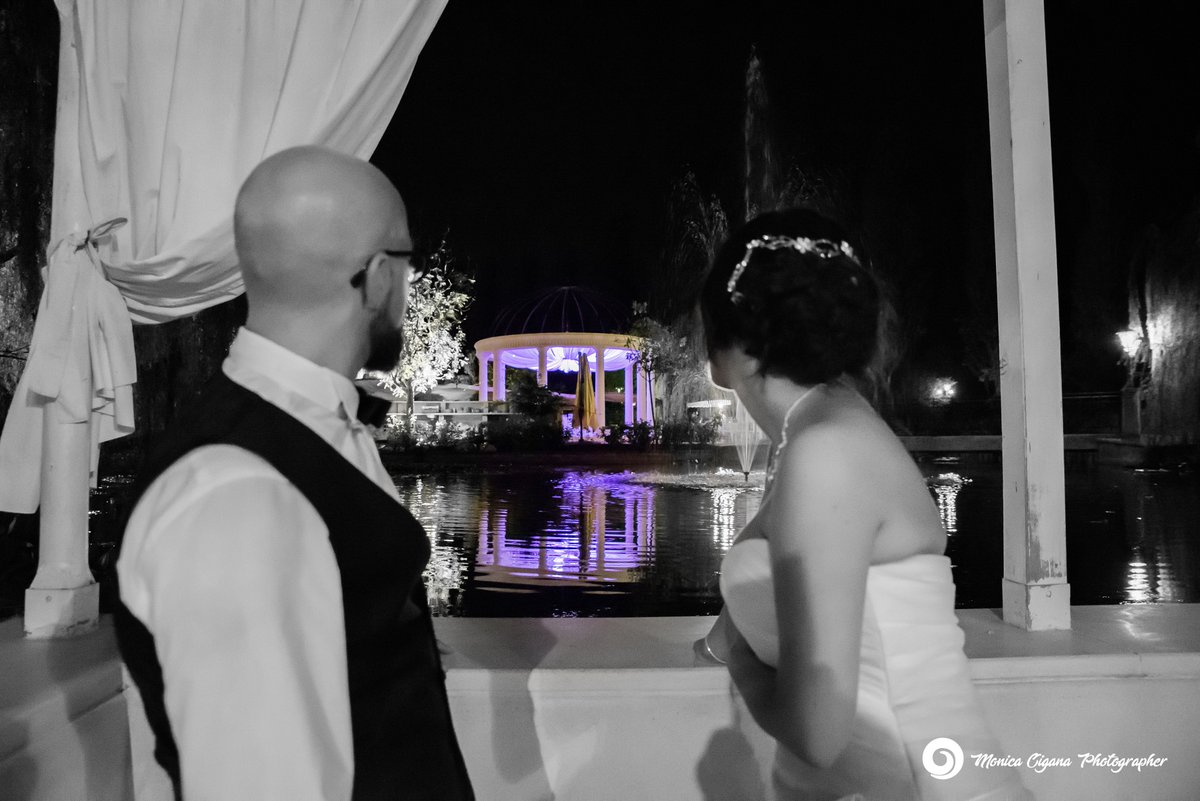 moni_web's tweet image. Non accontentarti dell'orizzonte. Cerca l'infinito.
(Jim Morrison)

#latenight #luna #lunar #moon #night #nightsky #nighttime #nature #photography #themoon #thestars #weddingday