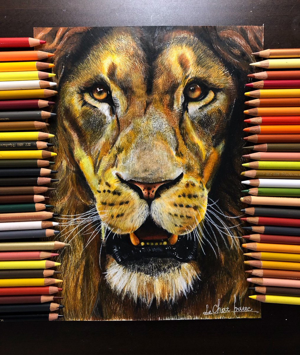 ライオン』 #色鉛筆画