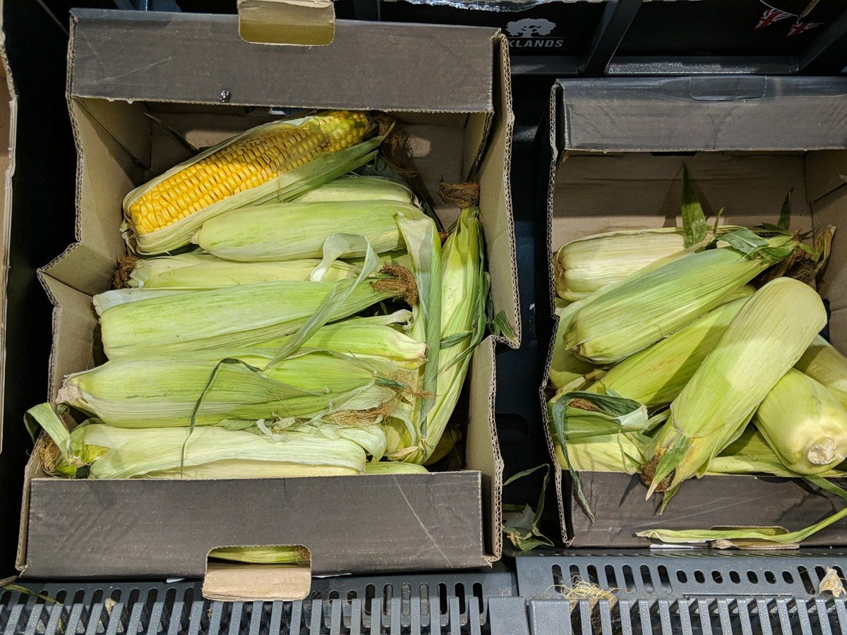 vickitoriae's tweet photo. So excited to see corn on the cob in husks in @LidlUK more of this please! #NoNeedForPlastic https://t.co/MagwoBib0S