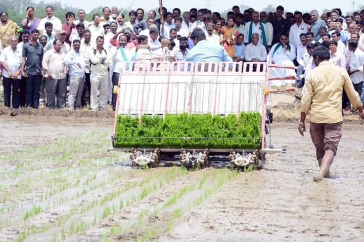 KTRBRS's tweet image. After introducing Harvestors, Tractors, Poly Houses, Drip &amp;amp; sprinkler irrigation at substantial subsidies, now Telangana Agri dept led by @PSRTRS Garu introducing rice transplanters

Field trials in Nizamabad &amp;amp; Warangal have been well received

#FarmMechanisation
#FarmerFirst