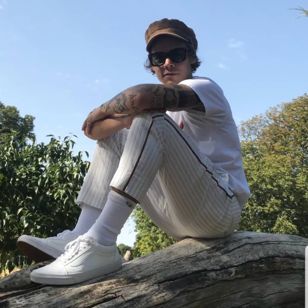 yourebestever's tweet photo. My honey @Harry_Styles won #ChoiceStyleIcon and #ChoiceSummerTour at #TeenChoiceAwards #TeenChoice2018 Congrats sweetheart💖 https://t.co/FDgqMHeiOn