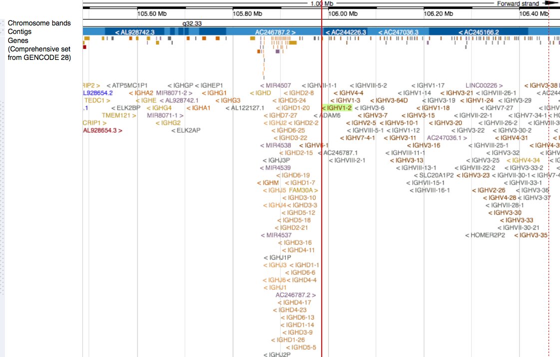 ensembl's tweet photo. This week’s #Geneoftheweek is IGHV1-2 is one of many #immunoglobulin genes in the Immunoglobulin heavy locus (IGH):
https://t.co/wWidLK0p7z
https://t.co/GySRacpb0I

#Antibody #BCellReceptor #Immunogenetics https://t.co/IWWm67WcKU