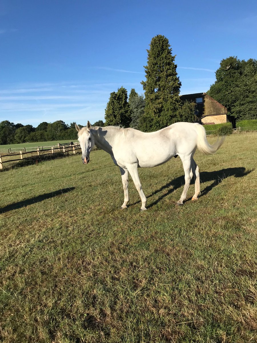 Brough Scott tweet media