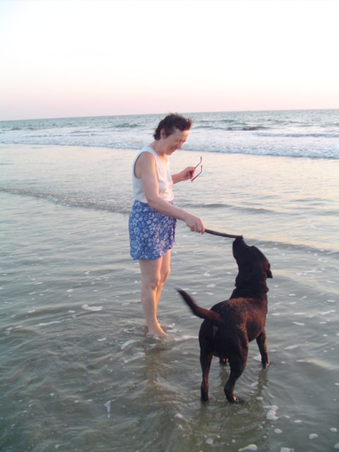 A wonderful Beach Day for Pets! Bring them along for a fun Weekend!

#Happiness2018 #ilovemypet #petsinresort #petfriendly #petfriendlyresort #fun #beach #beachlife #beachweekend #KarnatakaHospitality #saivishram #saivishrambeachresort