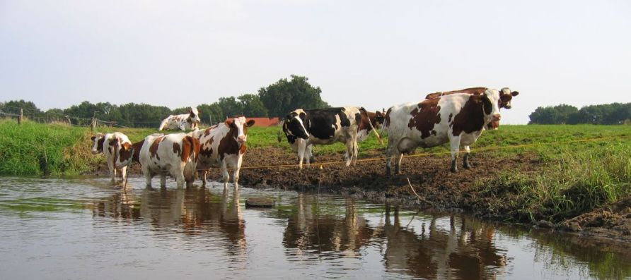 Vanaf 1 september mag er weer op de Dinkel gekanood worden! De mooiste kanotocht van Nederland. adventureking.nl/activiteiten/k…