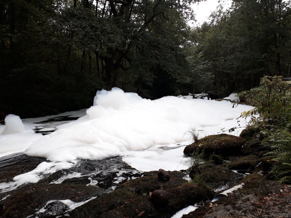 real_edfox's tweet photo. Pollution sur la rivière la Montane en #Corrèze à hauteur d'Eyrein. 
2m de mousses par endroit... La faune aquatique meurt.
Soirée mousse aux cascades de Gimel ! 
Une #honte !!! #MerciEyreinIndustrie
@FNEasso @F3Limousin @CorrezeTourisme @RegionLimousin @montagnetulle https://t.co/q6gkPHcjU3
