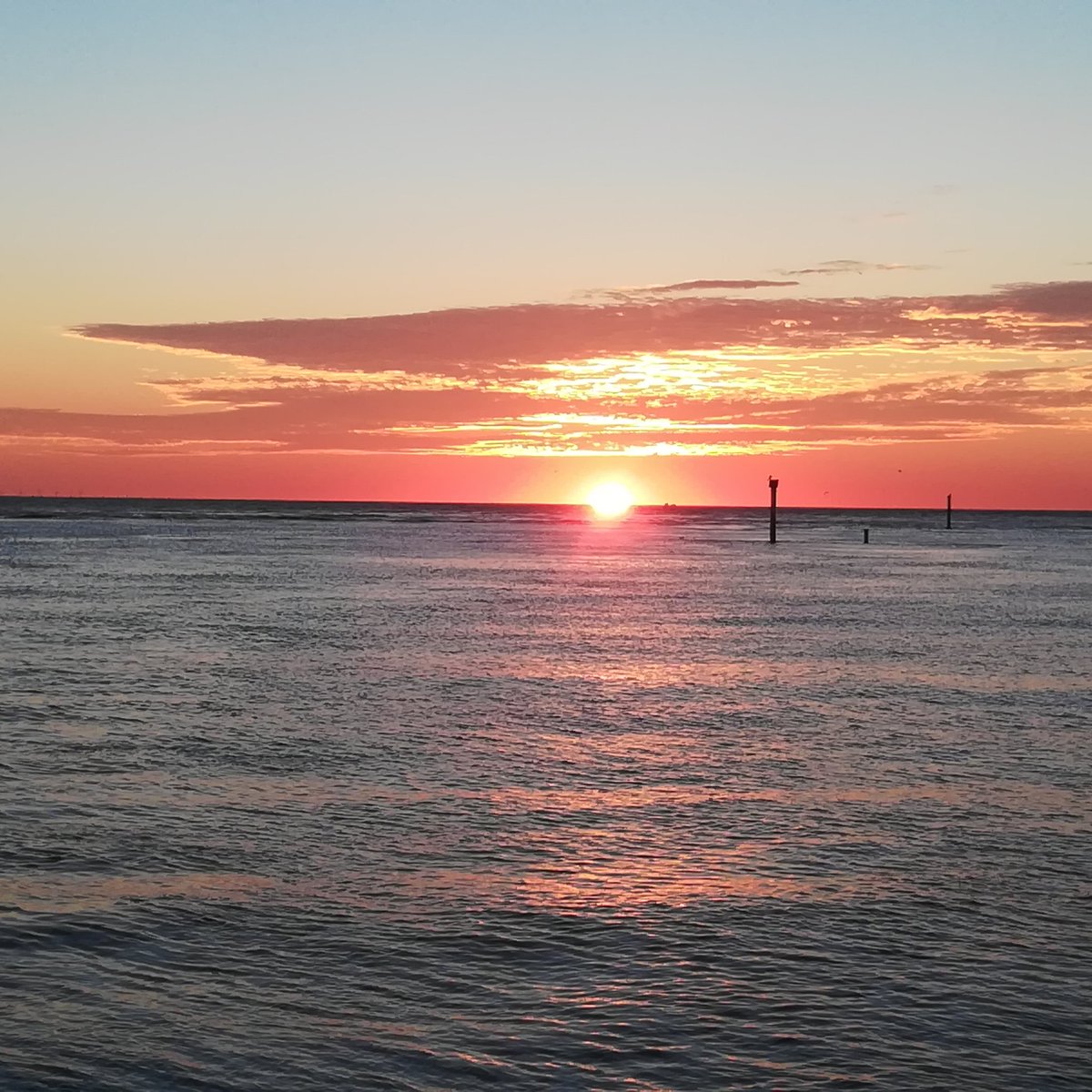 Deflevobij's tweet image. De vakantie is weer voorbij. Als u belangstelling heeft voor onze producten dan staan we weer voor u klaar!