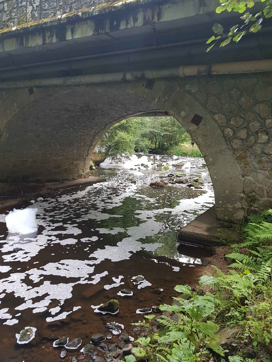 real_edfox's tweet photo. Nème fois que la Montane, rivière sauvage de #Corrèze, est souillée par la même entreprise, notre #Bayer local.
#pollution #indifférence https://t.co/he7O8gasAl