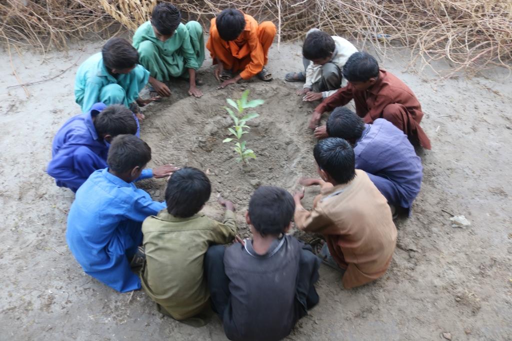 Green Pakistan Campgian @AWARETHAR is celebrating Green Pakistan Campaign in four districts @Umerkot @Tharparkar @Badin @Tandomuhammadkhan of Sindh province.
#YouthKaGreenPakistan @OxfaminPakistan @AWARETHAR #TreePlantation #IYD2018 #GreenPakistanMovement