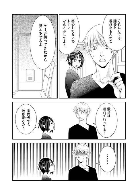 離婚日和 離婚日和