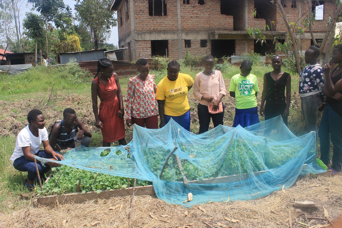 helladhis16's tweet photo. MIGOSI FAMILY HOPE SOCIETY.
#GIRLPOWERCLUB

EMPOWER GIRLS THROUGH SPORTS, AGRICULTURE, CRAFTS AND ARTS @ywli_info @JaramogiOchoro
@AKF_UnitedK @CrystalOkusa https://t.co/Qfhd7zCuIO