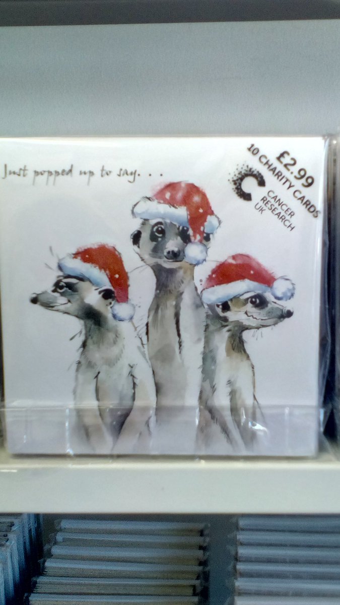 #feelingfestive as it's beginning to look a little festive in store with our amazing lifesaving Christmas cards now on sale in your local <a href="/CRUKShops/">Cancer Research UK Shops</a>  those cute pugs won't be on the shelves long...