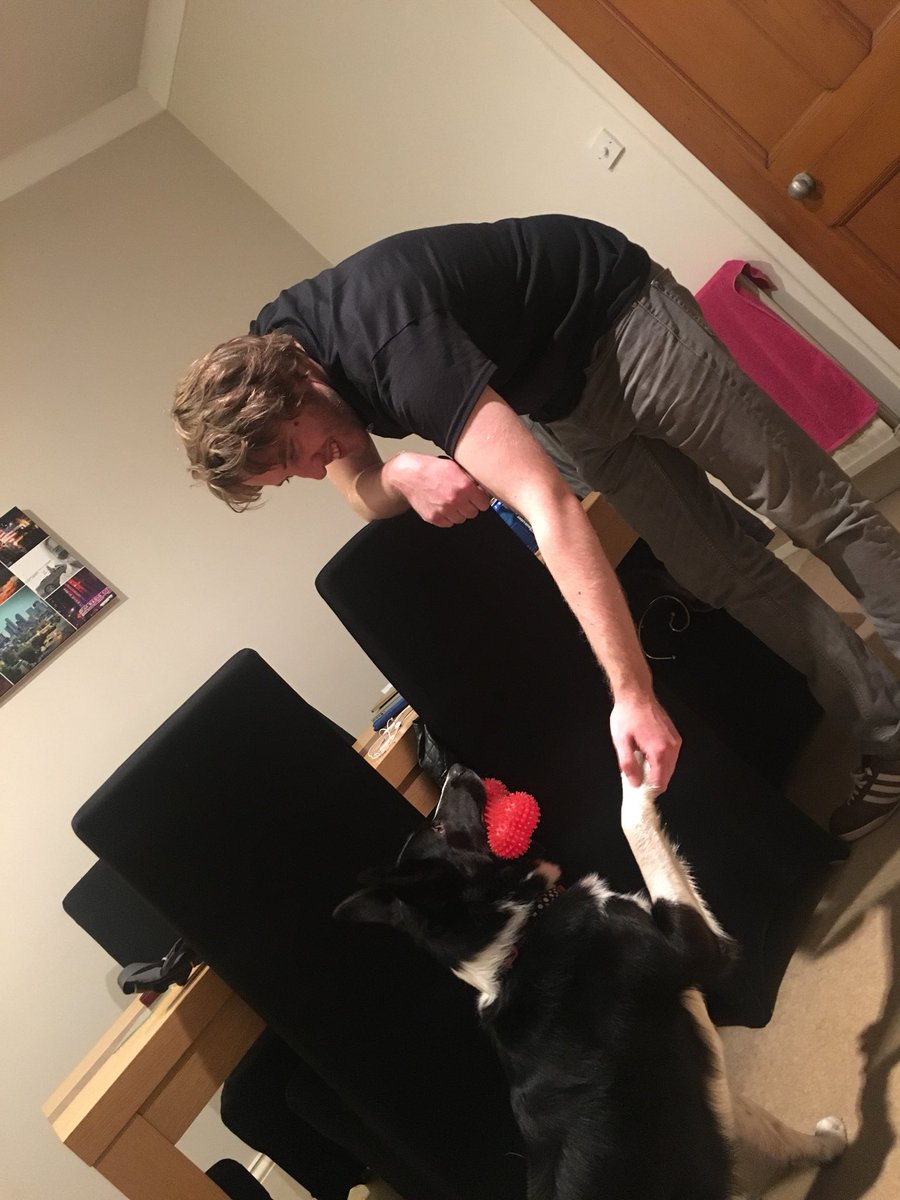 MattJamesScott's tweet photo. Negotiates have gone well with the ambassador of NewHoundland and I can confirm that we are back on a positive, STRONGANDSTABLE partnership. #brexit #talksgoingwellithink #ithinkhewon #DogsofTwittter https://t.co/yt77X91CHM