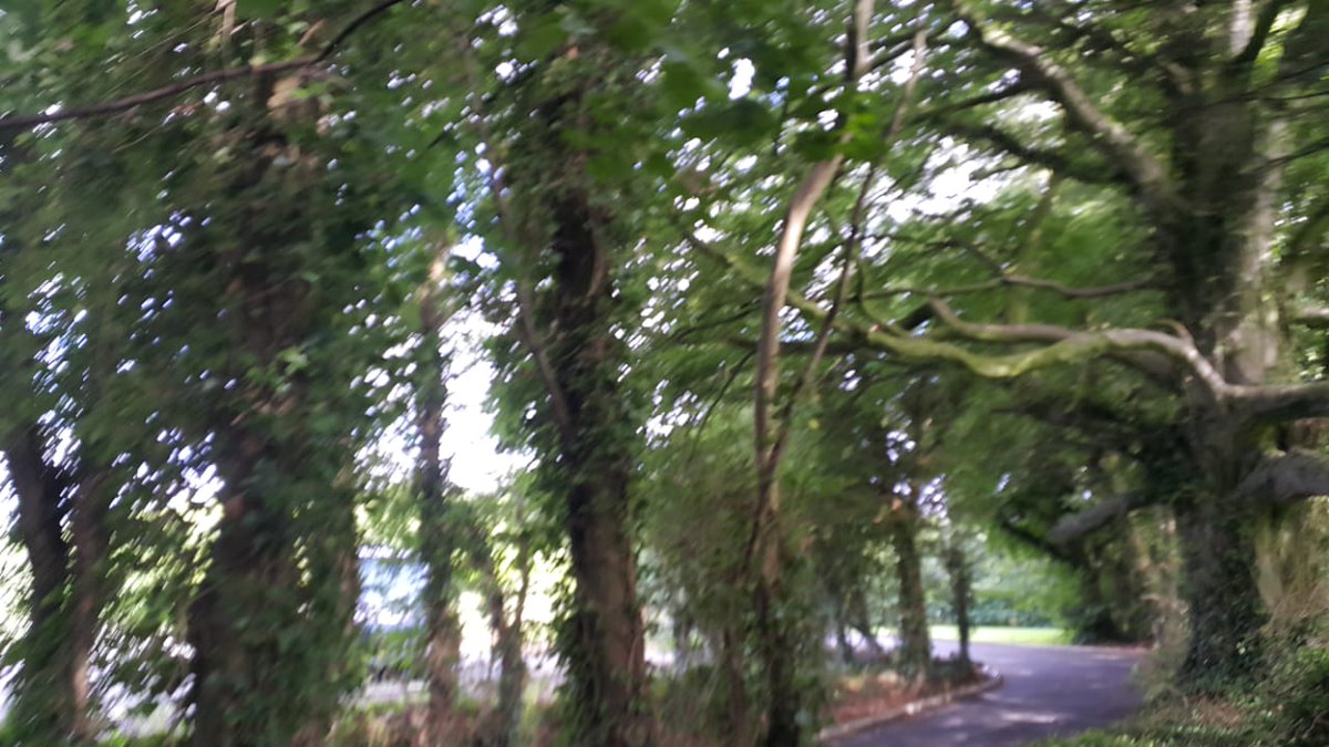 حكمة:
من ركب الحق، غلب الخلق.
#قروب_المغرد_العماني 
#قروب_ماسة_عُمان 
#تصويري