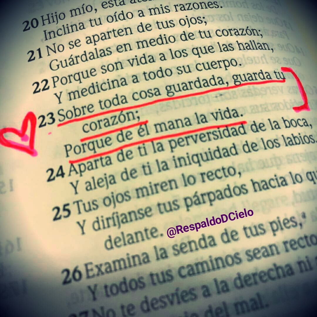 RespaldoDCielo's tweet photo. 🙏Cuando la Escritura habla del corazón en sentido metafórico como ocurre en Proverbios 4:23 no se refiere a nuestro órgano físico, sino más bien a esa noble facultad del alma, donde reside nuestro entendimiento y nuestros afectos mas internos.
#GuardaTuCorazon❤
#BuenLunes https://t.co/OT4UFs1n9h