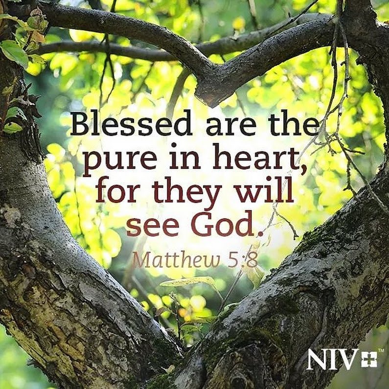 VinnieMacIsaac's tweet image. #pureinheart #Sermononthemount