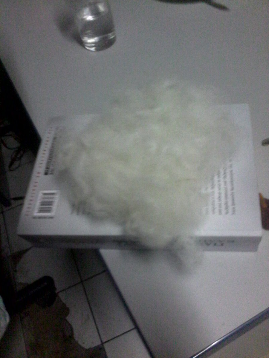 roxannecroche's tweet image. More #washedwool #sheepwool #rawsheepfleece