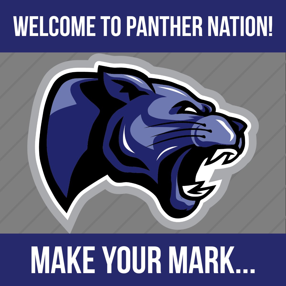 DenmarkTechSC's tweet photo. WELCOME TO PANTHER NATION! It's the first day of classes! Today is YOUR opportunity to "Make Your Mark" as you move toward a BETTER future!
.
.
#denmarktechnicalcollege #DenmarkTech #MakeYourMark #firstdayofclass #PantherNation https://t.co/WcvcZpT3JC