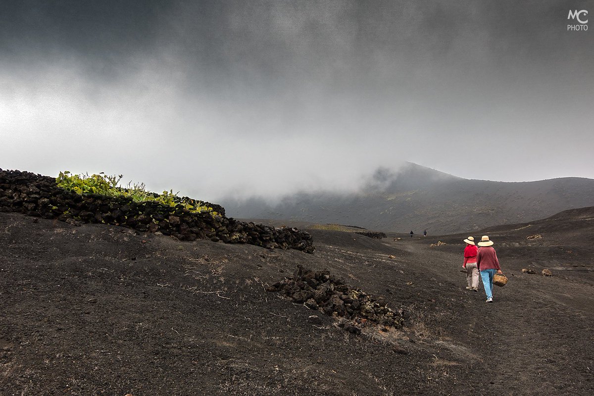 Miguelfcabrera's tweet photo. #Agosto en el #volcan #norte #Lanzarote #bruma #niebla #campesina #higueras #higos #lapilli #rofe https://t.co/OvF8uvBcmS