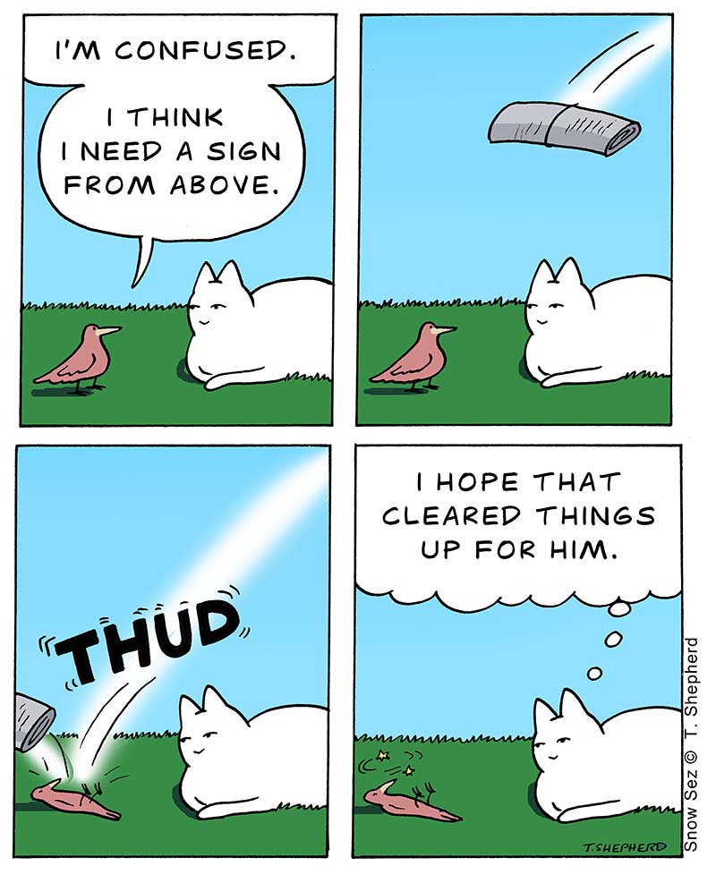 Be careful what you ask for...or at least be VERY specific.
#signfromabove #sign #lookingforasign #theresyoursign #confused #lost #bird #newspaper #thud #cat #catcomic #seeker #wisdom