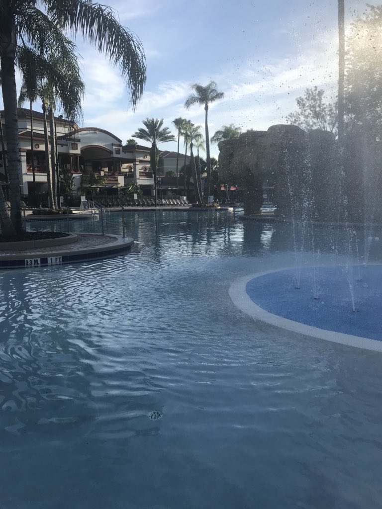mikecheftaylor's tweet photo. Not a bad view for a Monday morning! #PoolToMyself #Cannonballs 👍🤣 https://t.co/YqyCVdQAxy
