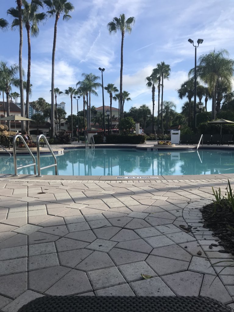 mikecheftaylor's tweet photo. Not a bad view for a Monday morning! #PoolToMyself #Cannonballs 👍🤣 https://t.co/YqyCVdQAxy