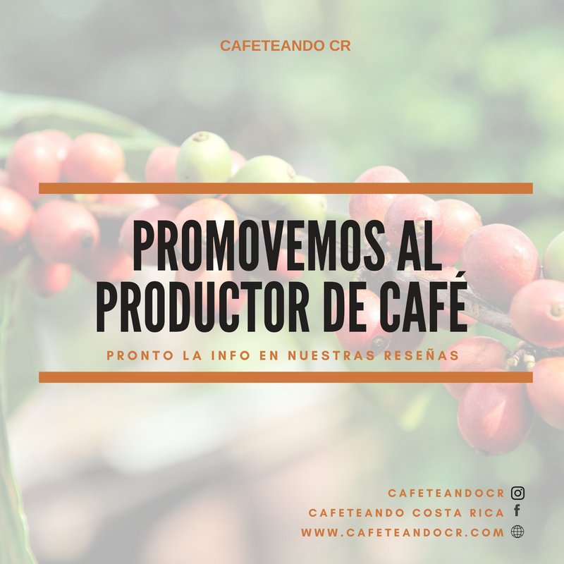 Cada Cafeto es cuidado desde la semilla de manera tan afectuosa y científica que el sudor de los caficultores no lo podemos ignorar.

Pronto conocerás mas sobre sus anécdotas.
Visita: cafeteandocr.com

#cafeteandocr #quericounbuencafe #cafeto