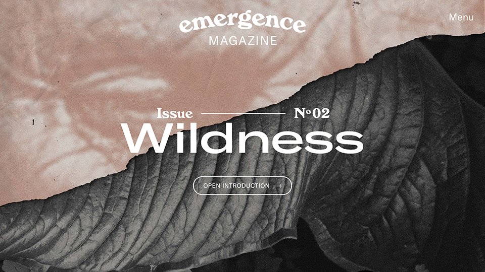 Ecology, Culture, and Spirituality - @emergence_zine: emergencemagazine.org