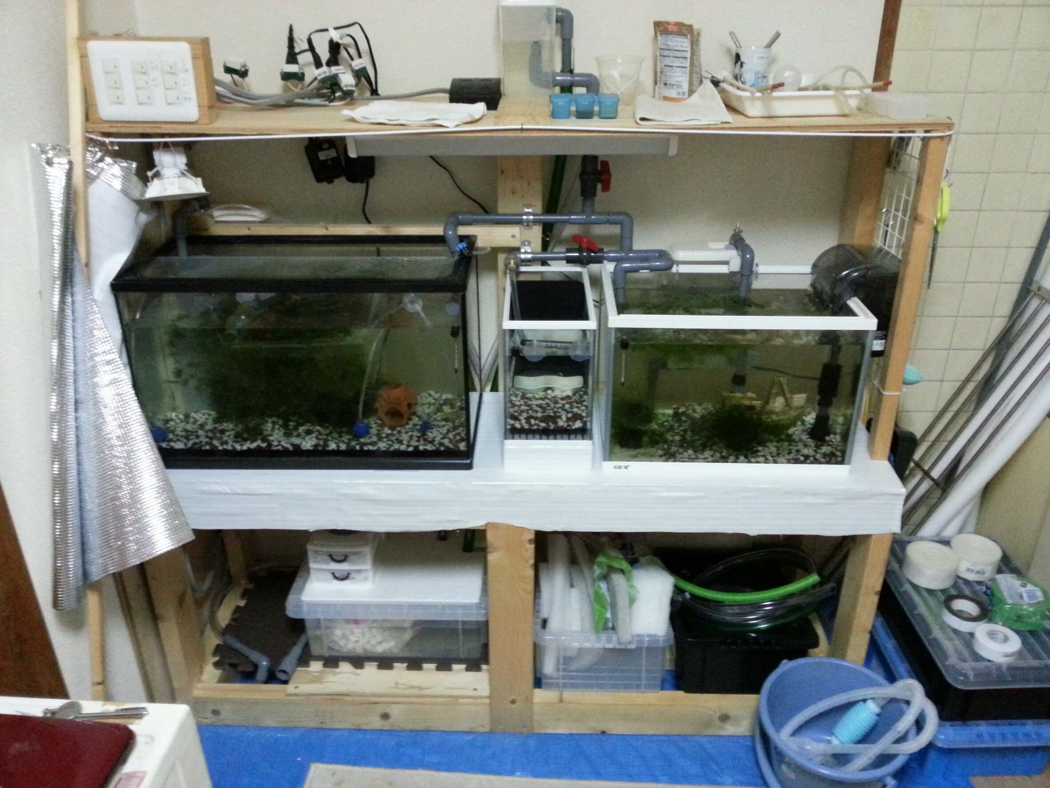 マメ屋 愛極組 در توییتر オーバーフローマンション水槽完成 水槽台からofシステムまで自作で作ったよ 水量に対して濾過が少ないかな ん 改良の余地あり アクアリウム 水槽 メダカ オーバーフロー水槽 マメ屋 愛極組 در توییتر オーバーフローマンション水槽完成 水槽台からofシステムまで自作で作ったよ 水量に対して濾過が少ないかな ん 改良の余地あり アクアリウム 水槽 メダカ オーバーフロー水槽
