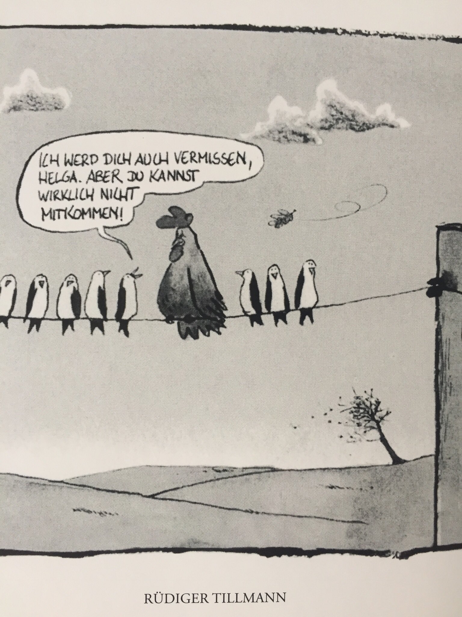 Andreas Schiermeyer On Twitter Rabenkalender der raben kalender 2021