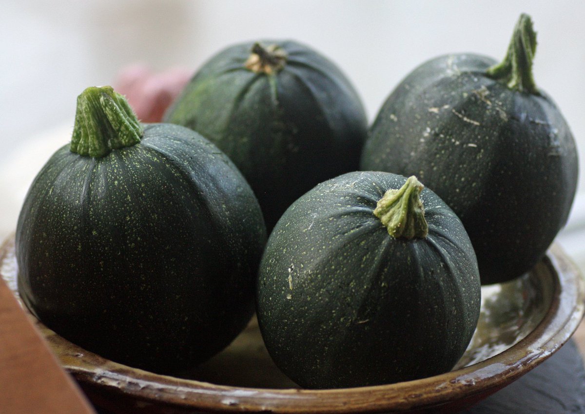SeasonalShaheen's tweet photo. Medly of #Courgettes #Zucchini from the #gardenplot  #allotmentkitchen #allotment #growyourown #gyo #NationalAllotmentWeek 

https://t.co/BB0bfsWlPg https://t.co/2MV4UmWsBU