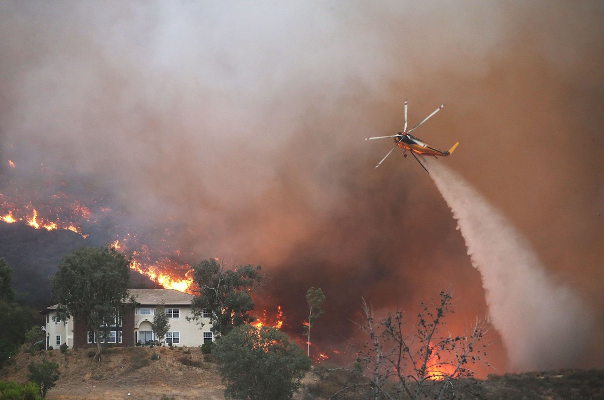 EmpireEmergency's tweet photo. Police Video Shows a Daring Mission to Save Dozens of Shelter Animals From Wildfires https://t.co/NJIfF3ZzdQ https://t.co/FhwuViyvfr