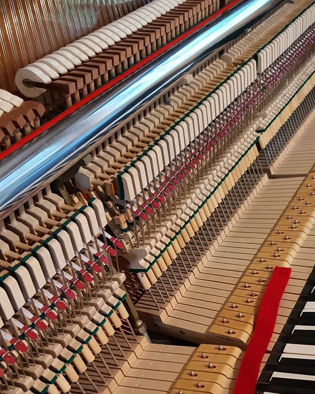 Every few years I feel like diving into a new challenge, learning a new skill. Seems next one is how to tune an acoustic piano. Another very deep subject, a very meditative thing reguiring long term concentration.

#pianotuning #acousticpiano #finland #b… ift.tt/2MtdwN7
