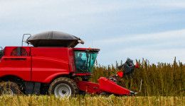 sanapackaging's tweet image. Thank you Kristina Etter and @cannabistechio for helping us tell our story about 100% #PlantBased #Hemp #Plastic #Cannabis #Packaging! 💚🙏💚 buff.ly/2nwKz4y