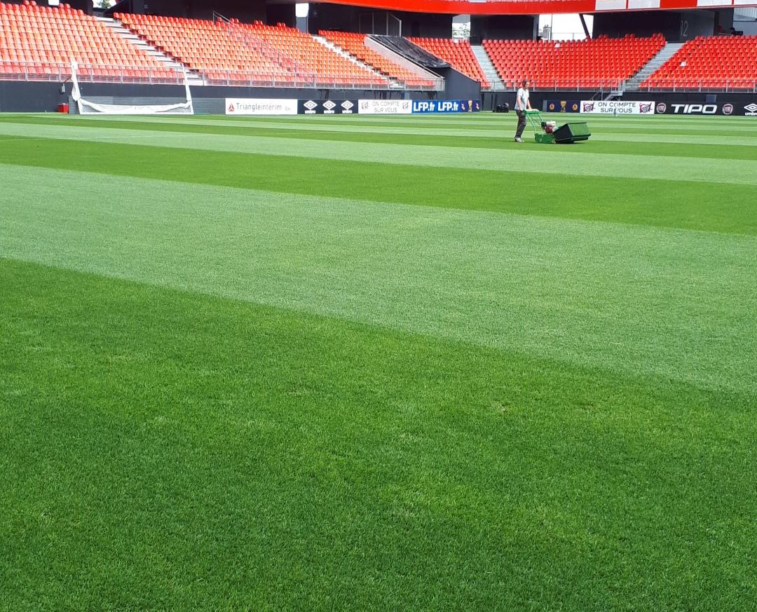 NG_AirFibr's tweet photo. ⚽️ #MondayMotivation at Natural Grass !!
#VAFC #AirFibr @delannoy_romain #QualityandSafetyFirst https://t.co/gwf4XPtQ2M