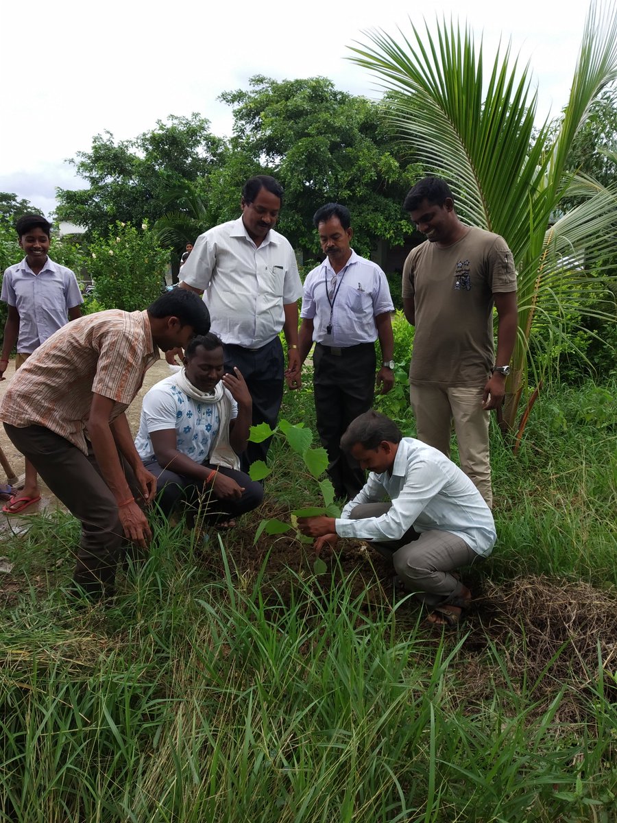 Prafull34606024's tweet image. #trees #missiongogreen #savealife @baladev_pati @beeruBMR @KailashKarmak18 @barikalok1234 @SKMINI2011