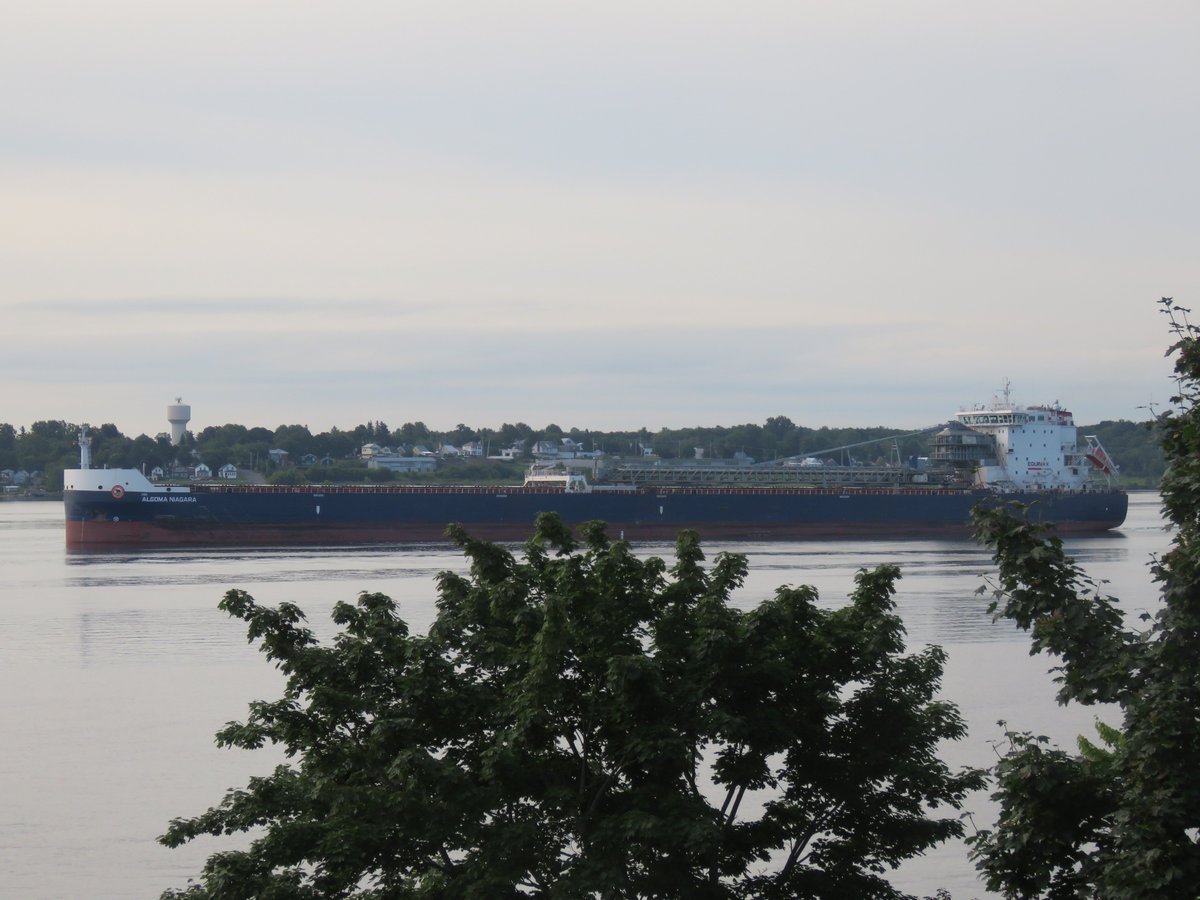 PrescottAnchor's tweet photo. 13 Aug 2018 Algoma Niagara SDBC flagged Canada out of Port of Johnstown up to turn #StLawrenceSeaway at Prescott ON 08h40 #AlgomaNiagara #Algoma https://t.co/aRqyW28rPU