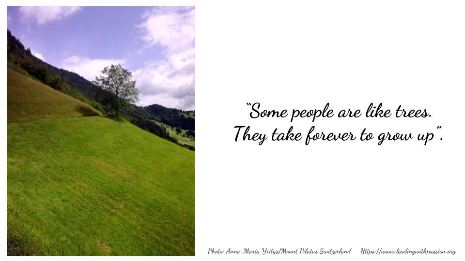 annemariayritys's tweet photo. "Some people are like trees. They take forever to grow up". https://t.co/PaG30t5amt
#business #leadership https://t.co/f7nE25K7O1