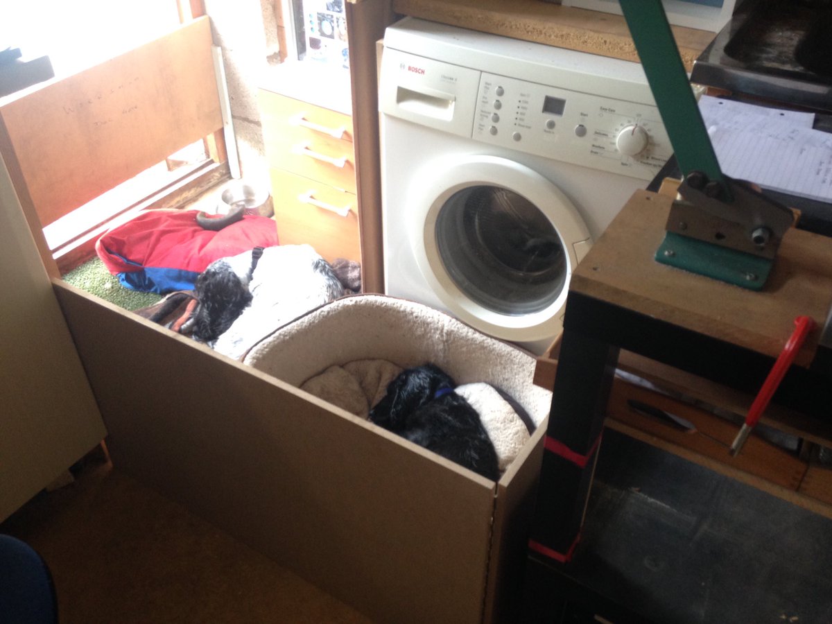 KTHallmark's tweet image. Managed to double the amount of #SleepingOnTheJob we got done in the workshop today 😴😴 #WorkshopAssistant