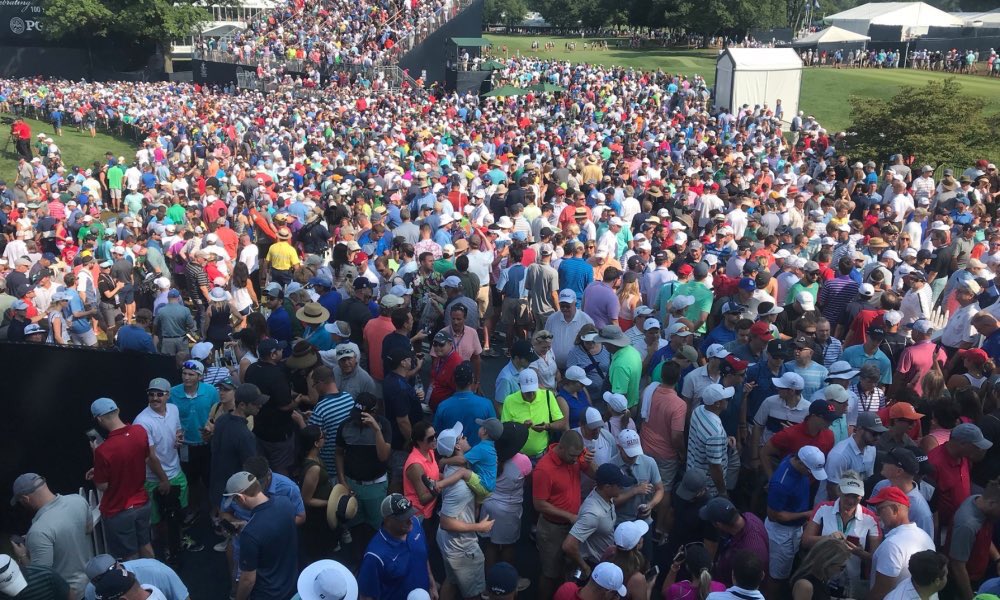 ThisMerv's tweet image. #TigerEffect