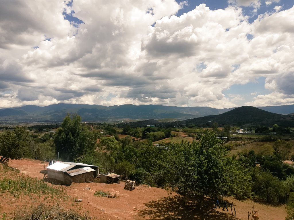 RigobertoGomez_'s tweet photo. En rep de @AdolfoToledo_ delegado de @SAGARPA_Oax inauguré en el #TunilloMiahuatlán obras de captación y almacenamiento de agua para uso agropecuario en beneficio de 70 fam con inversión de 1.7 mdp; en 2017 se construyeron 52 obras para 1075 familias con inversión de 76 mdp https://t.co/GH5bux3zFb
